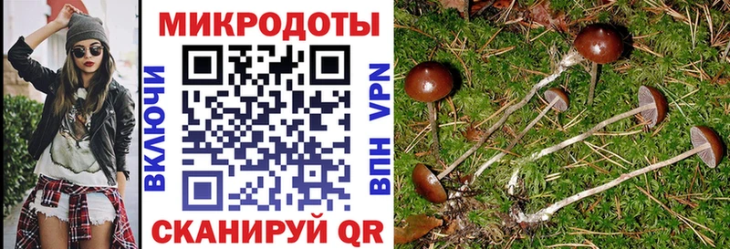 kraken рабочий сайт  Задонск  Псилоцибиновые грибы прущие грибы 